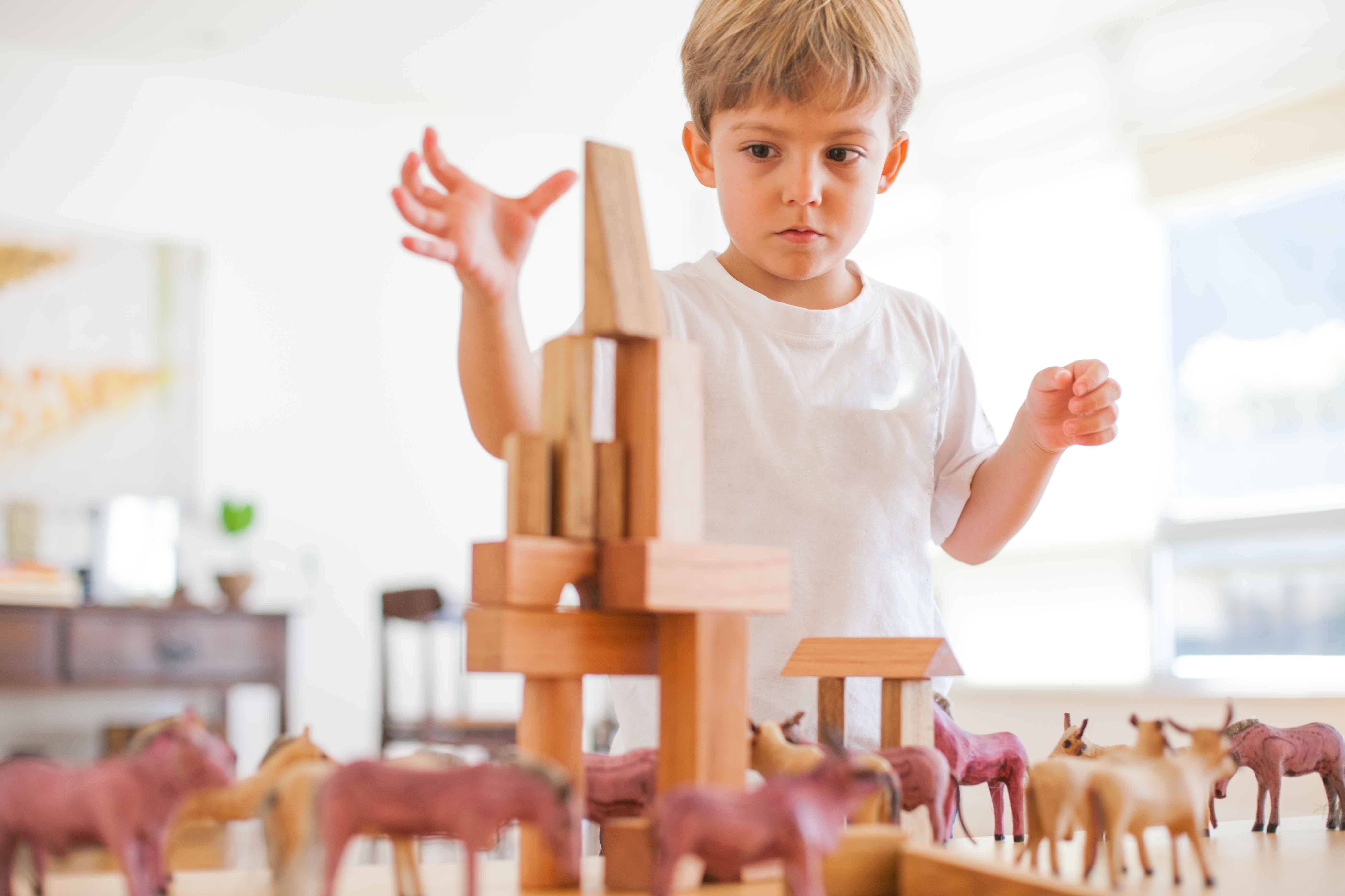 Brinquedos de Encaixe na Educação Infantil