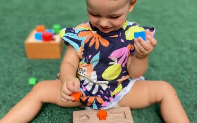 Brinquedos pedagógicos de madeira entenda sua importância para o desenvolvimento infantil –